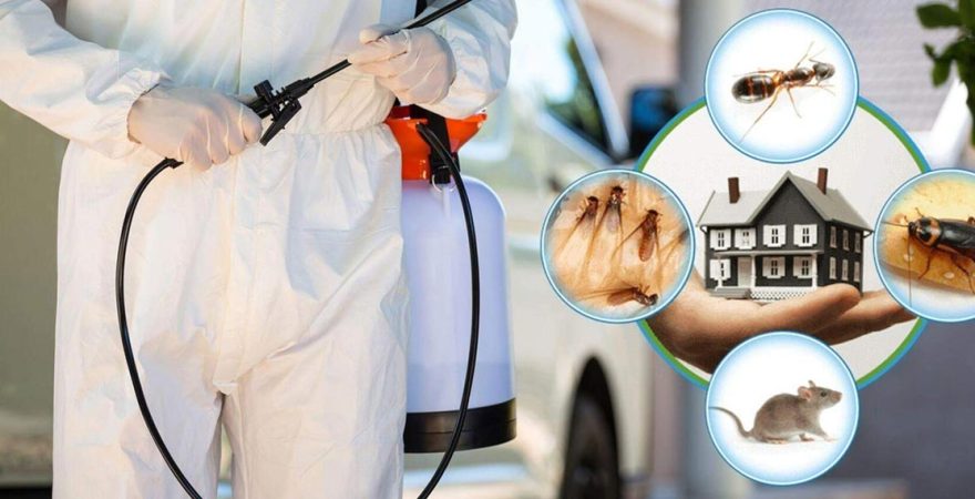 Feke Böcek İlaçlama