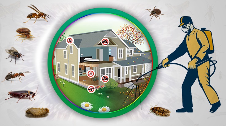 Feke Böcek İlaçlama