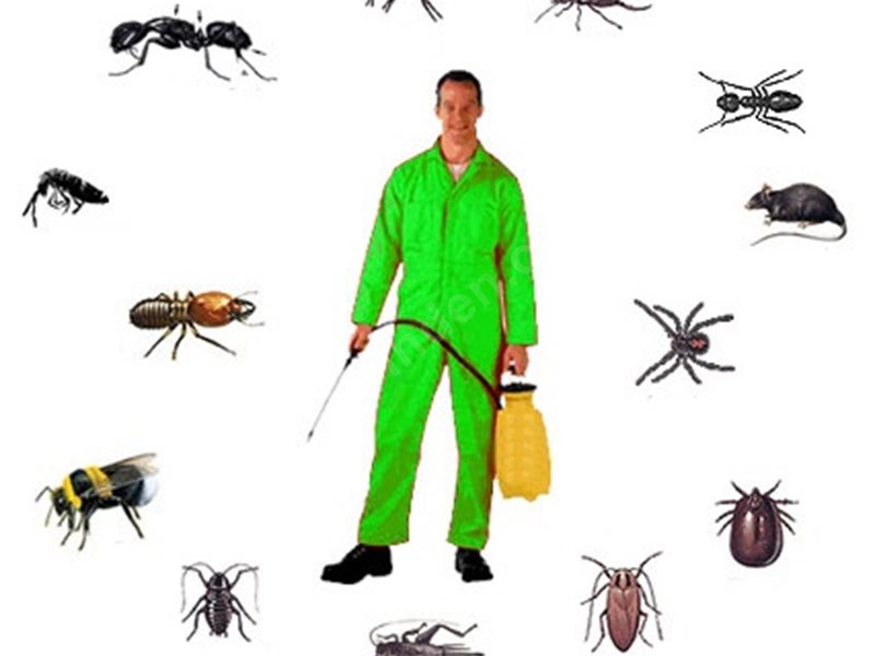 Feke Böcek İlaçlama